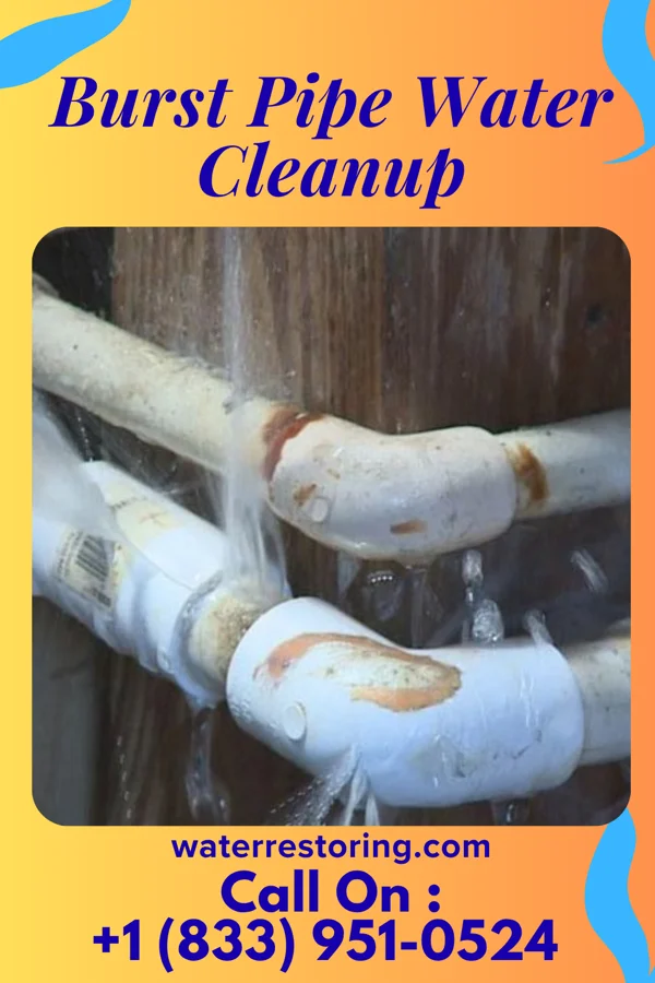 Burst Pipe Water Cleanup in Elsmere, DE