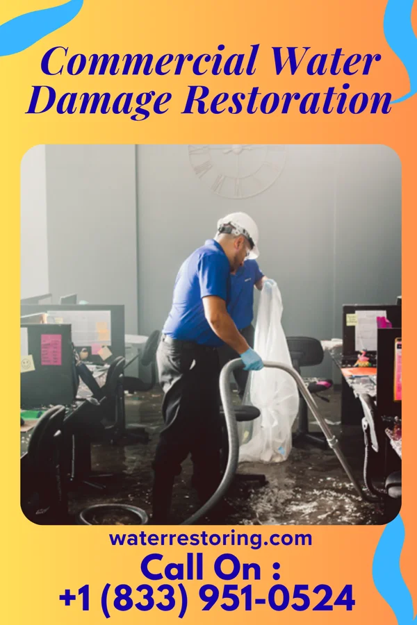 Commercial Water Damage Restoration in Elsmere, DE