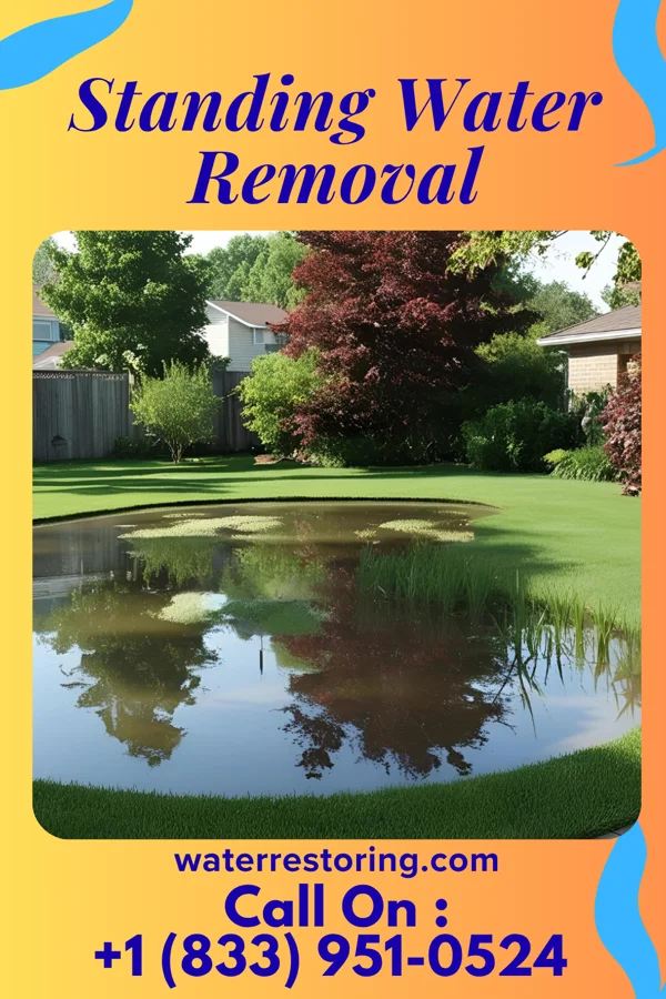 Standing Water Removal in Elsmere, DE